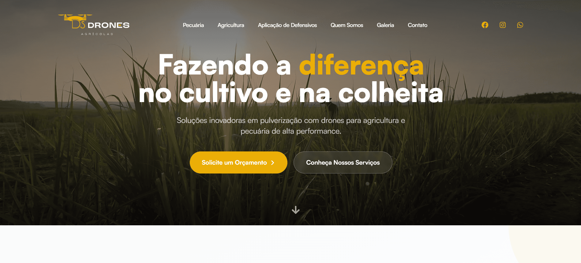 Captura de tela 1 do sistema DS Drones Agrícolas